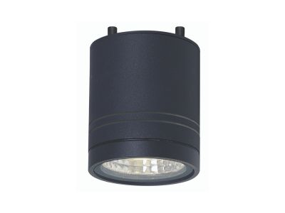 LITHO 9W Exterior Can Light